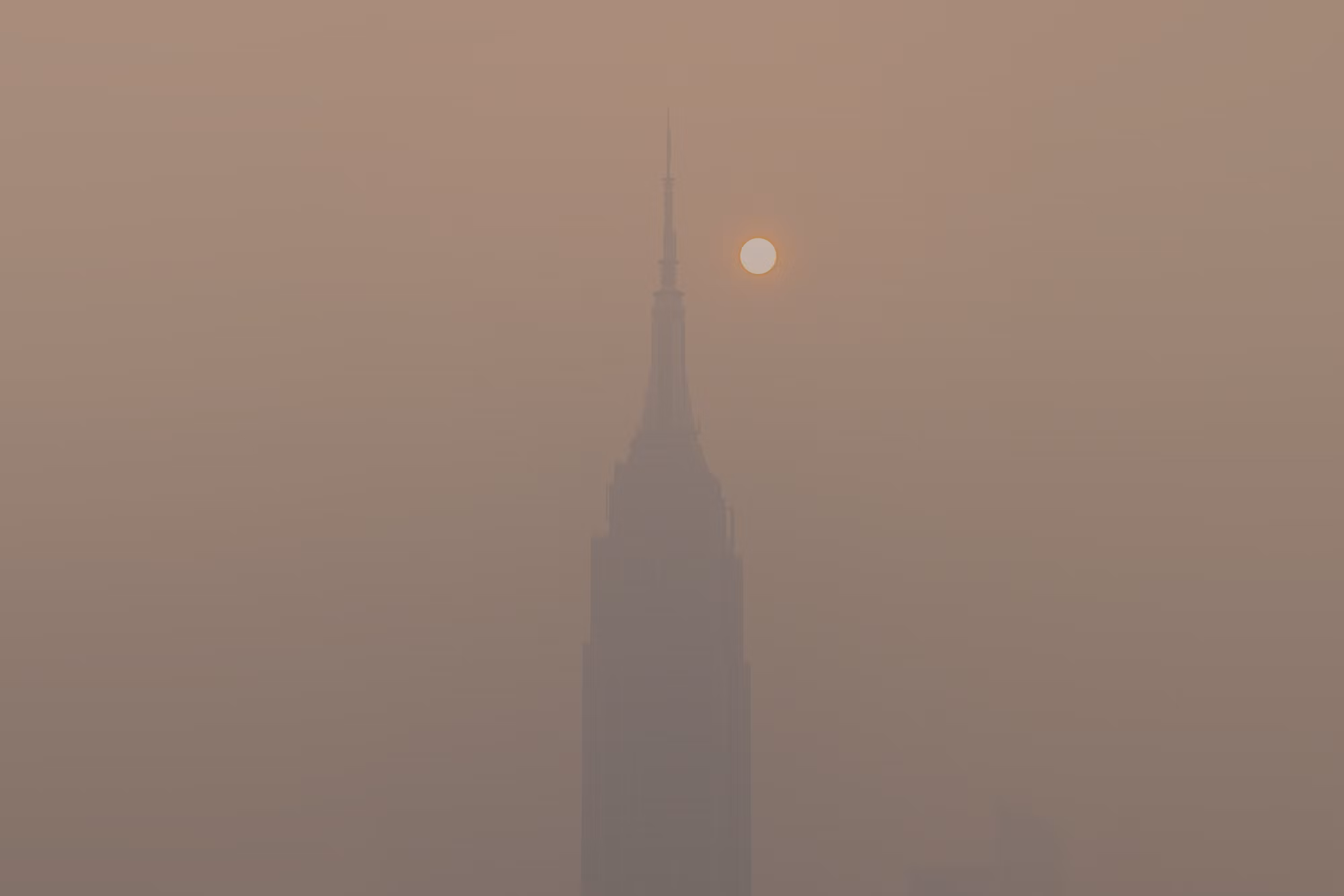 The Art of Sustainable Living: How Eco-Friendly Practices Are Shaping Our Future